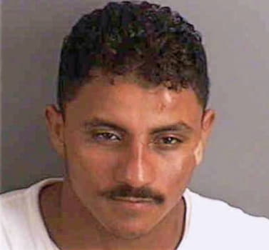 Carcamo Orlin - Collier County, FL 