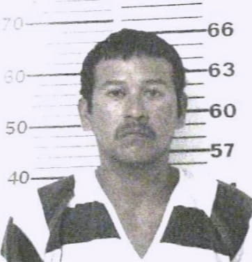 Diaz Jesus - Henderson County, TX 