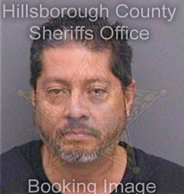 Alegria Julio - Hillsborough County, FL 