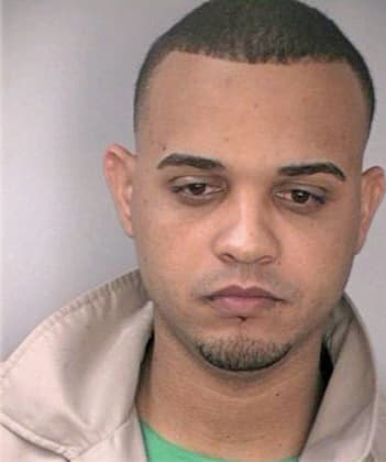 Garciaalvarado Luis - Hillsborough County, FL 