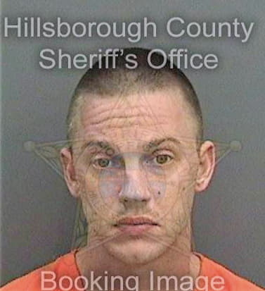 Dicanio Michael - Hillsborough County, FL 