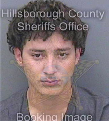 Escobio David - Hillsborough County, FL 