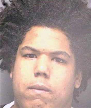 Vargas Alejandro - Hillsborough County, FL 