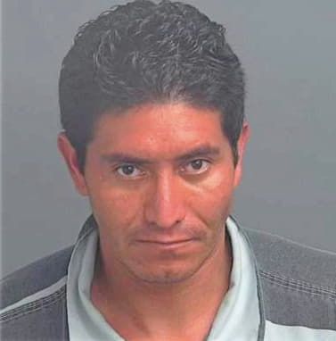 Rodas Vicente - Montgomery County, TX 