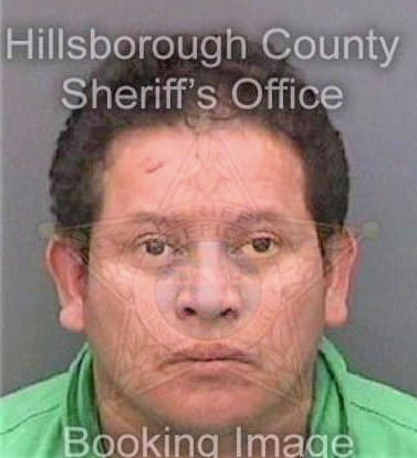 Sanchezgonzalez Arnulfo - Hillsborough County, FL 