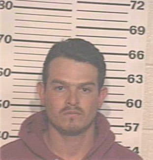 Sanchez David - Hidalgo County, TX 
