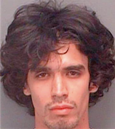 Rodriguez Eduardo - Pinellas County, FL 