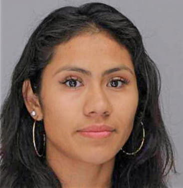 Chavez Mireya - Dallas County, TX 