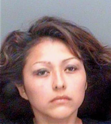 Vasquez Yandira - Pinellas County, FL 