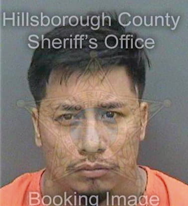 Garciavictoriano Andres - Hillsborough County, FL 