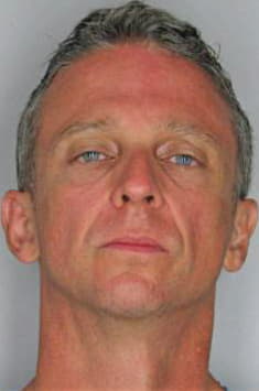 Shawyer David - Hillsborough County, FL 