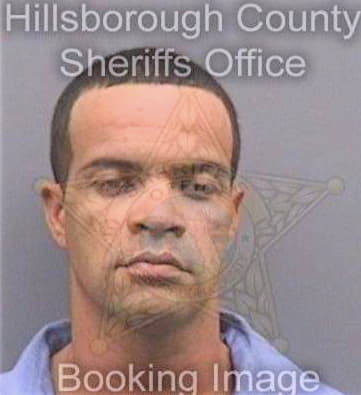 Medranolopez Michael - Hillsborough County, FL 
