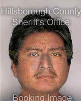 Hernandezplacido Moises - Hillsborough County, FL 