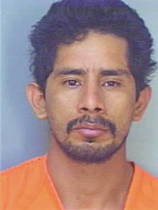 Martinez Hector - Polk County, FL 