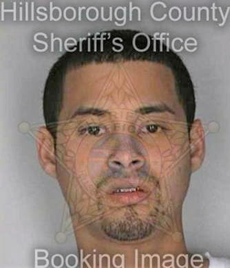Downs James - Hillsborough County, FL 