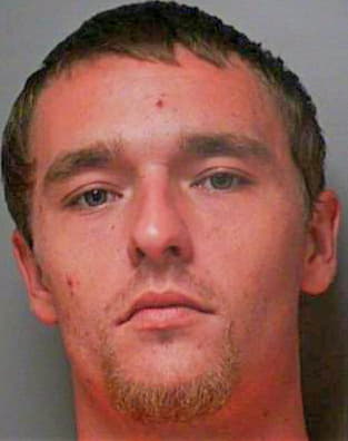 Mcelwee James - Polk County, FL 