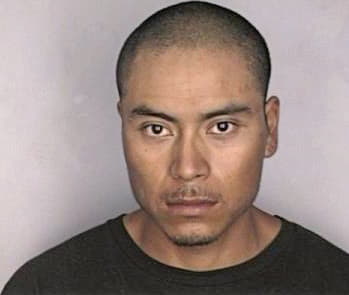 Gonzalezines Luis - Hillsborough County, FL 