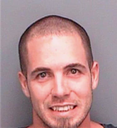 Lemire Matthew - Pinellas County, FL 