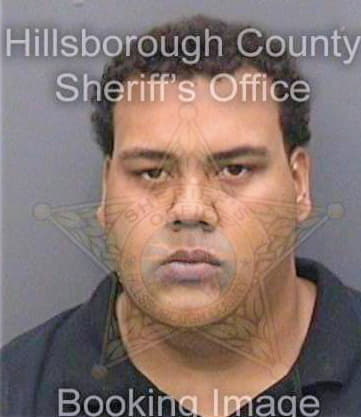 Ridley Michael - Hillsborough County, FL 