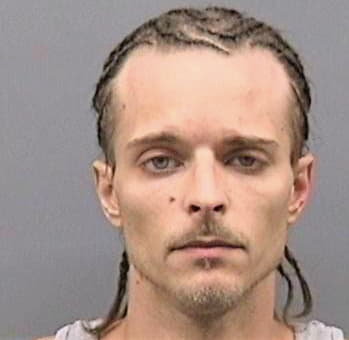 Richmond Robert - Hillsborough County, FL 