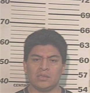 Bautista Rodrigo - Hidalgo County, TX 