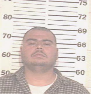 Montes Andres - Hidalgo County, TX 