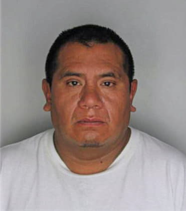 Galiciacampos Antonio - Hillsborough County, FL 