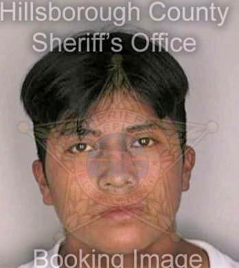 Hernandezquirvn Geronimo - Hillsborough County, FL 