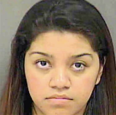 Chavez Heidi - Mecklenburg County, NC 