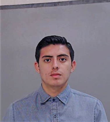 Silva Jesus - Hidalgo County, TX 