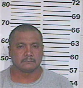Sanchez Amadeo - Hidalgo County, TX 