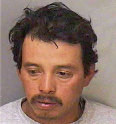 Sanchez Candelario - Polk County, FL 