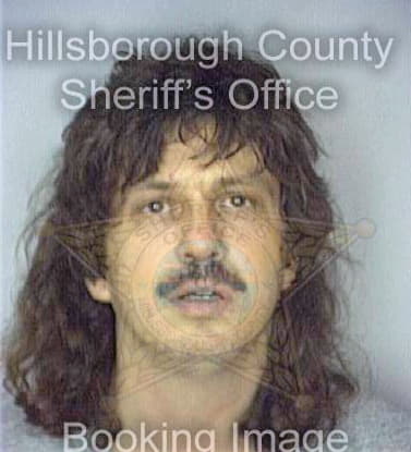 Boston David - Hillsborough County, FL 