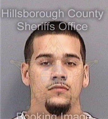 Rosario Michael - Hillsborough County, FL 