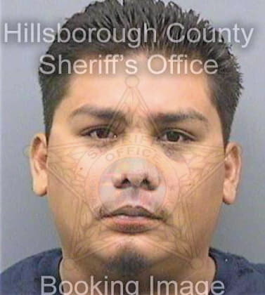 Garcia Pedro - Hillsborough County, FL 