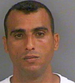 Gonzalez Reynel - Collier County, FL 