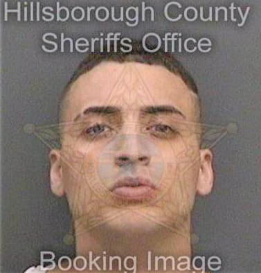 Perez Joshua - Hillsborough County, FL 