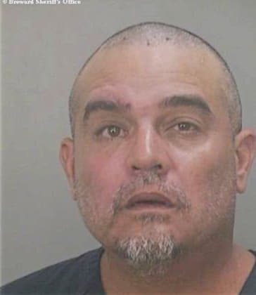 Domenech Louis - Broward County, FL 