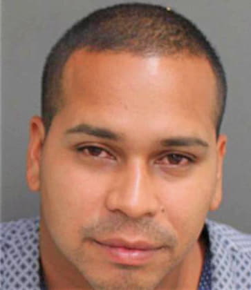 Borgesgonzalez Luis - Orange County, FL 