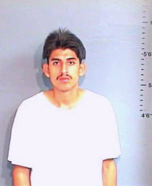 Garcia Luis - Brazos County, TX 