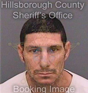 Gantz Mark - Hillsborough County, FL 
