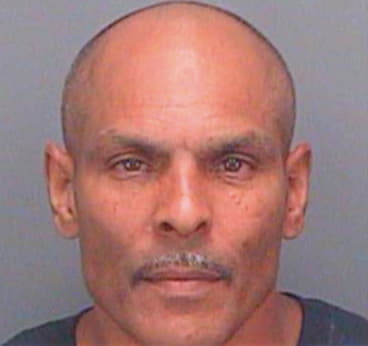 Montanez Ramon - Pinellas County, FL 