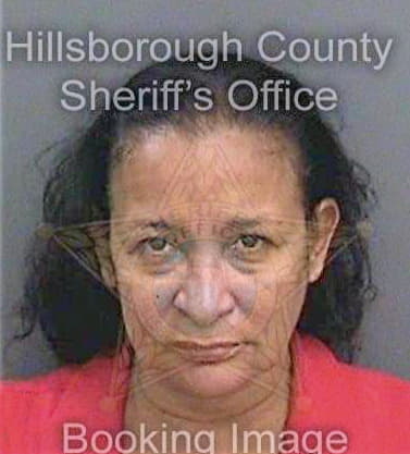 Dejesus Arleen - Hillsborough County, FL 