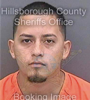 Garcia Carlos - Hillsborough County, FL 