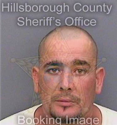 Acevedo David - Hillsborough County, FL 