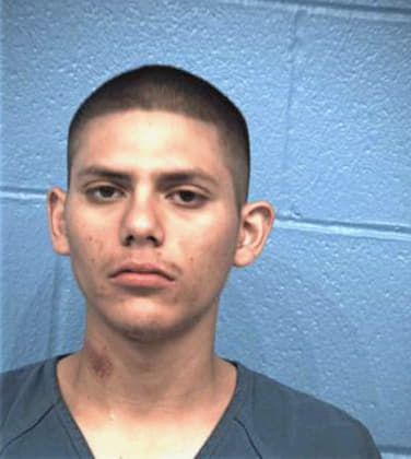 Guia Joel - Williamson County, TX 