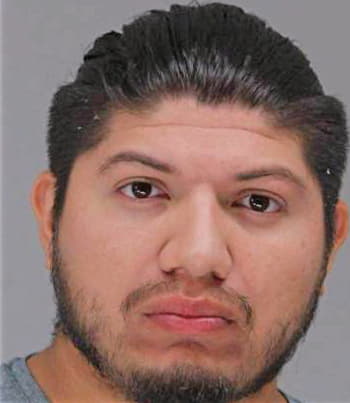 Delangel Jose - Dallas County, TX 