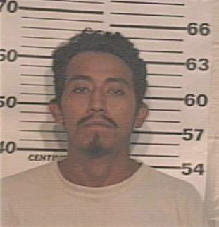 Esquivel Julio - Hidalgo County, TX 