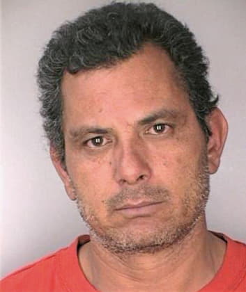 Almanza Reynaldo - Hillsborough County, FL 