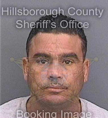 Soto Hector - Hillsborough County, FL 